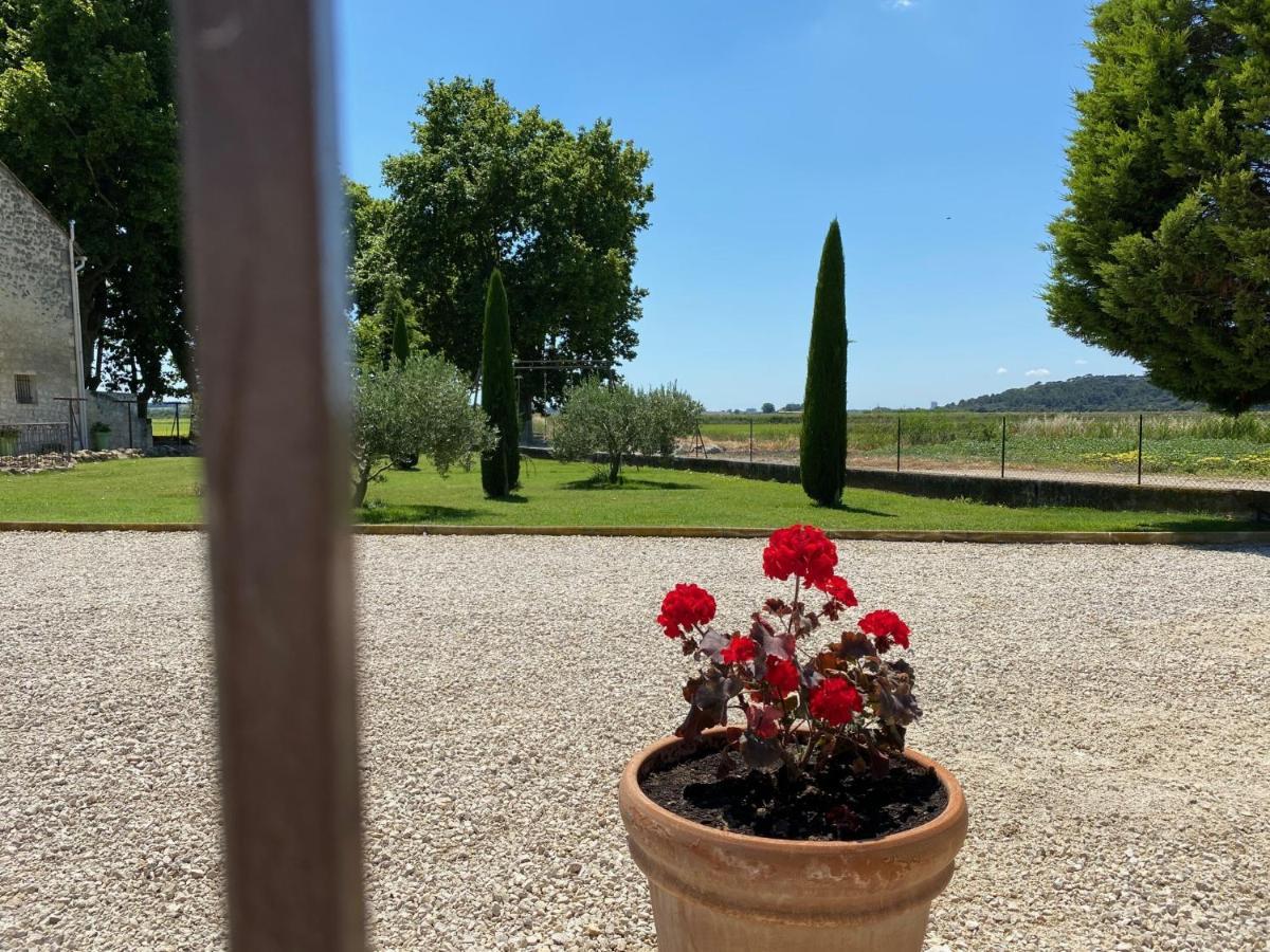 Le Domaine De Laforest Fontvieille Exteriör bild