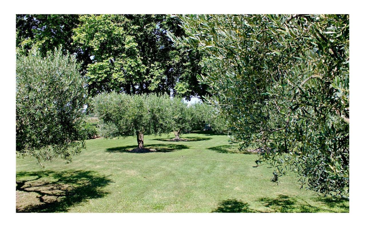 Le Domaine De Laforest Fontvieille Exteriör bild