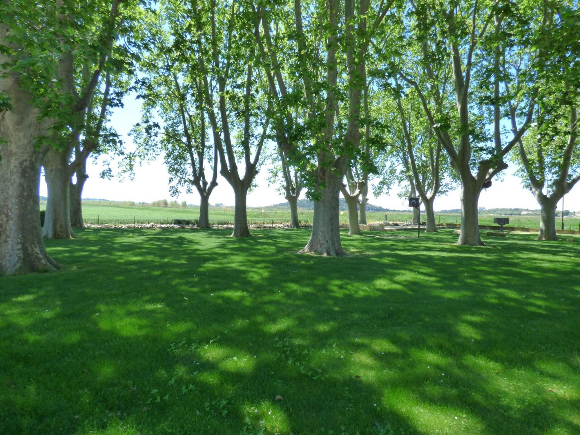 Le Domaine De Laforest Fontvieille Exteriör bild