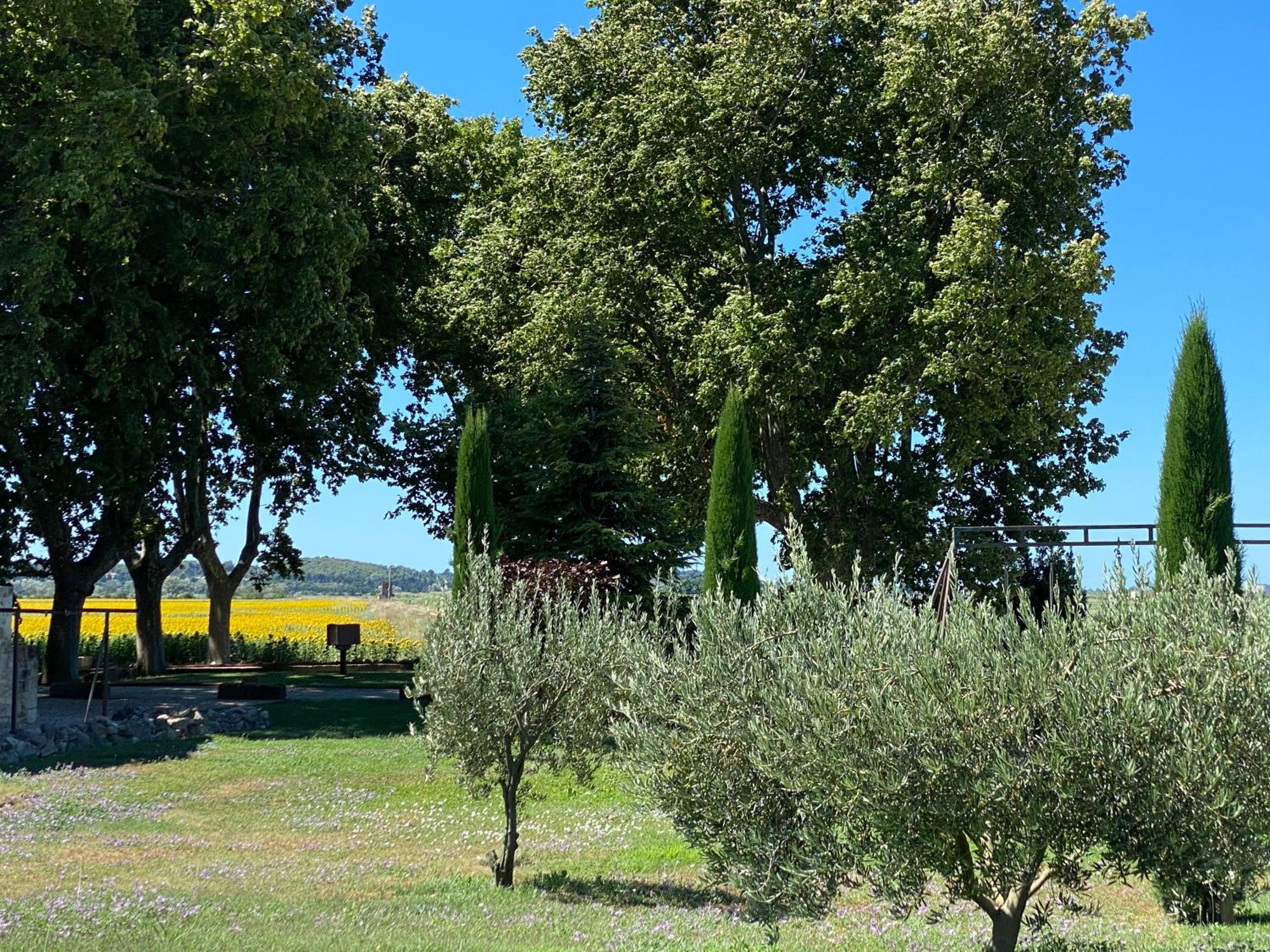 Le Domaine De Laforest Fontvieille Exteriör bild