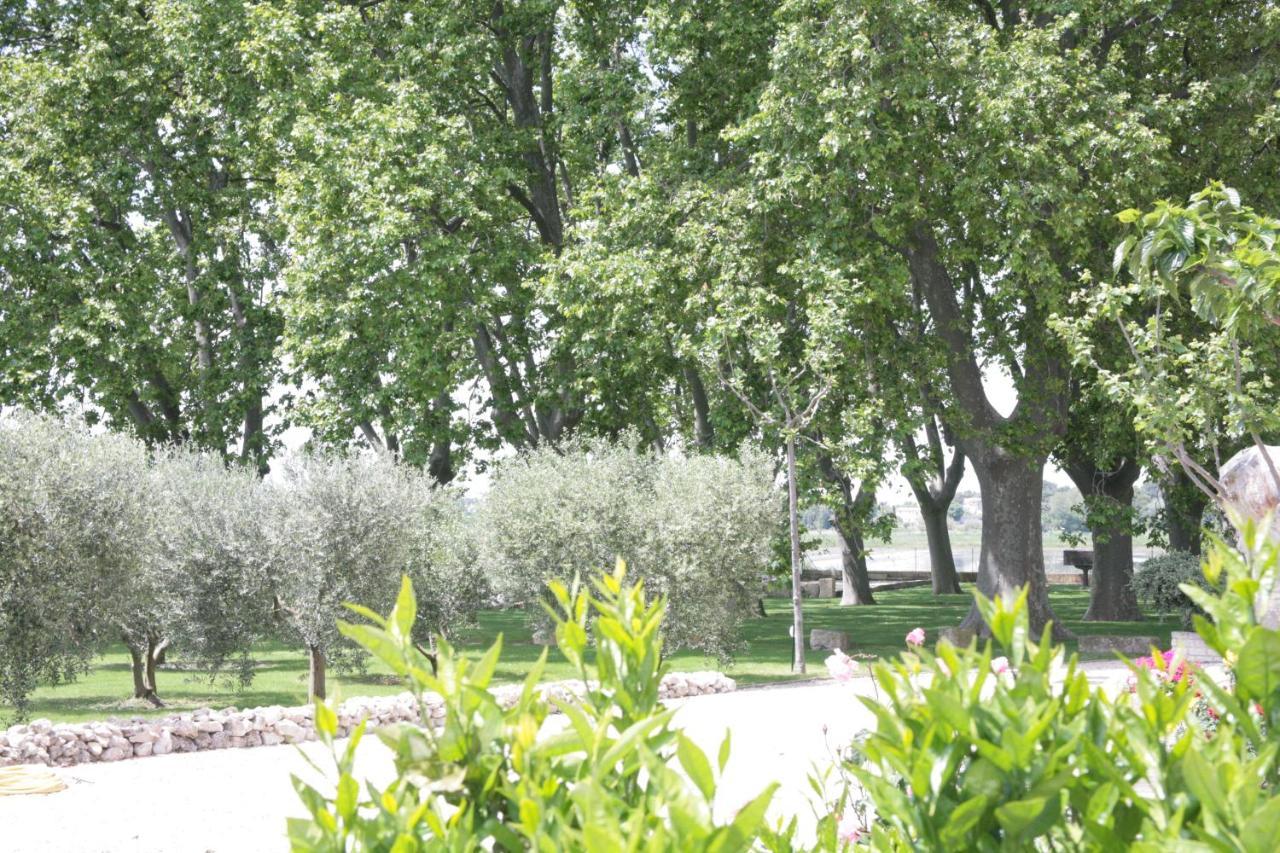 Le Domaine De Laforest Fontvieille Exteriör bild