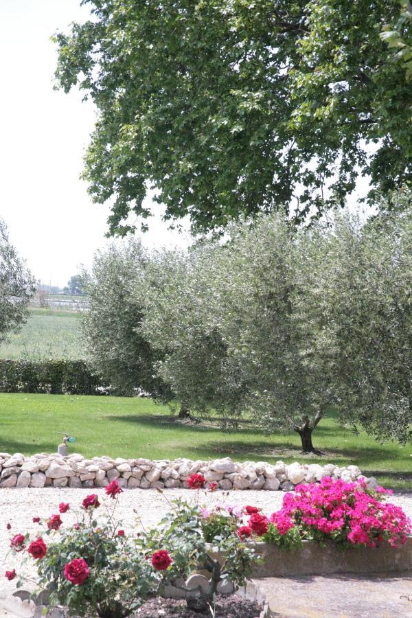 Le Domaine De Laforest Fontvieille Exteriör bild